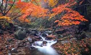 Choosing any of the three time periods will definitely double the weight loss effect.