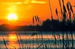 Healthy and quick weight loss methods without medication