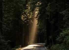 6 simple ways to boost metabolism