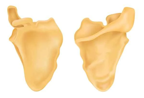 How to remove keloid scars on the cheeks