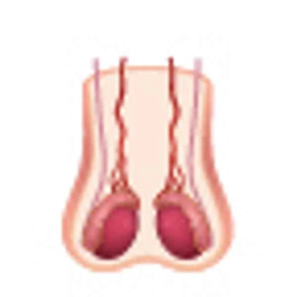 What department should I see for scrotal folliculitis?