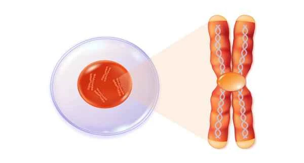 What are the main causes of hair loss in women?