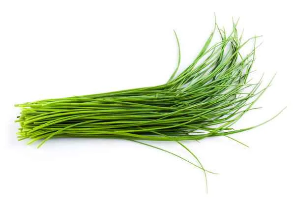 Is it okay for vitiligo patients to eat scallions?