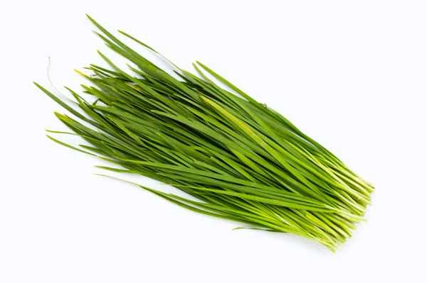 Is it okay for vitiligo patients to eat scallions?