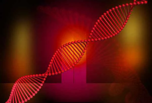 Can hair loss in young people be reversed?