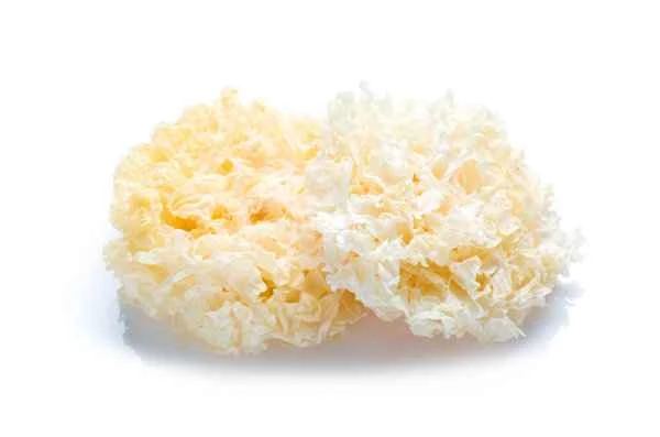 Can people with keloid scarring eat white fungus?
