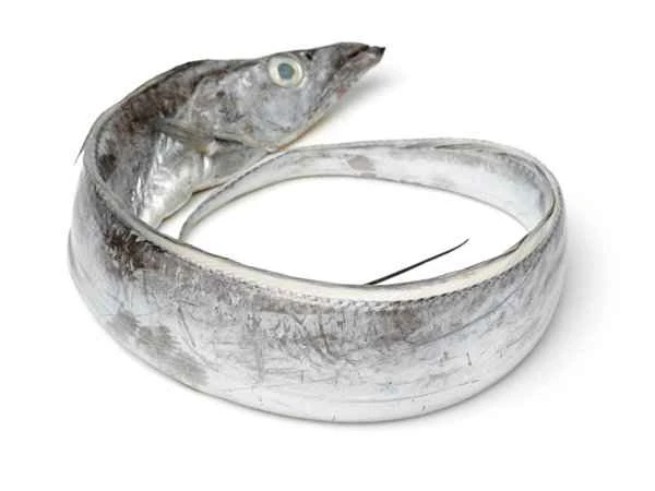 The fishbone feels in the lower middle part of my neck.