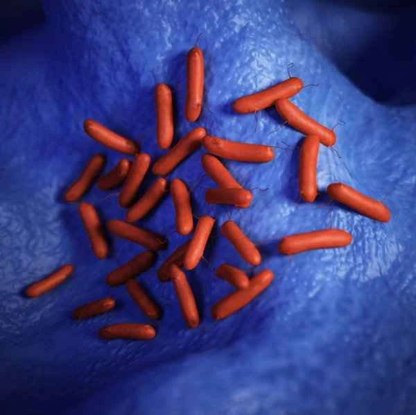 How to remove subcutaneous pus spots on scars?